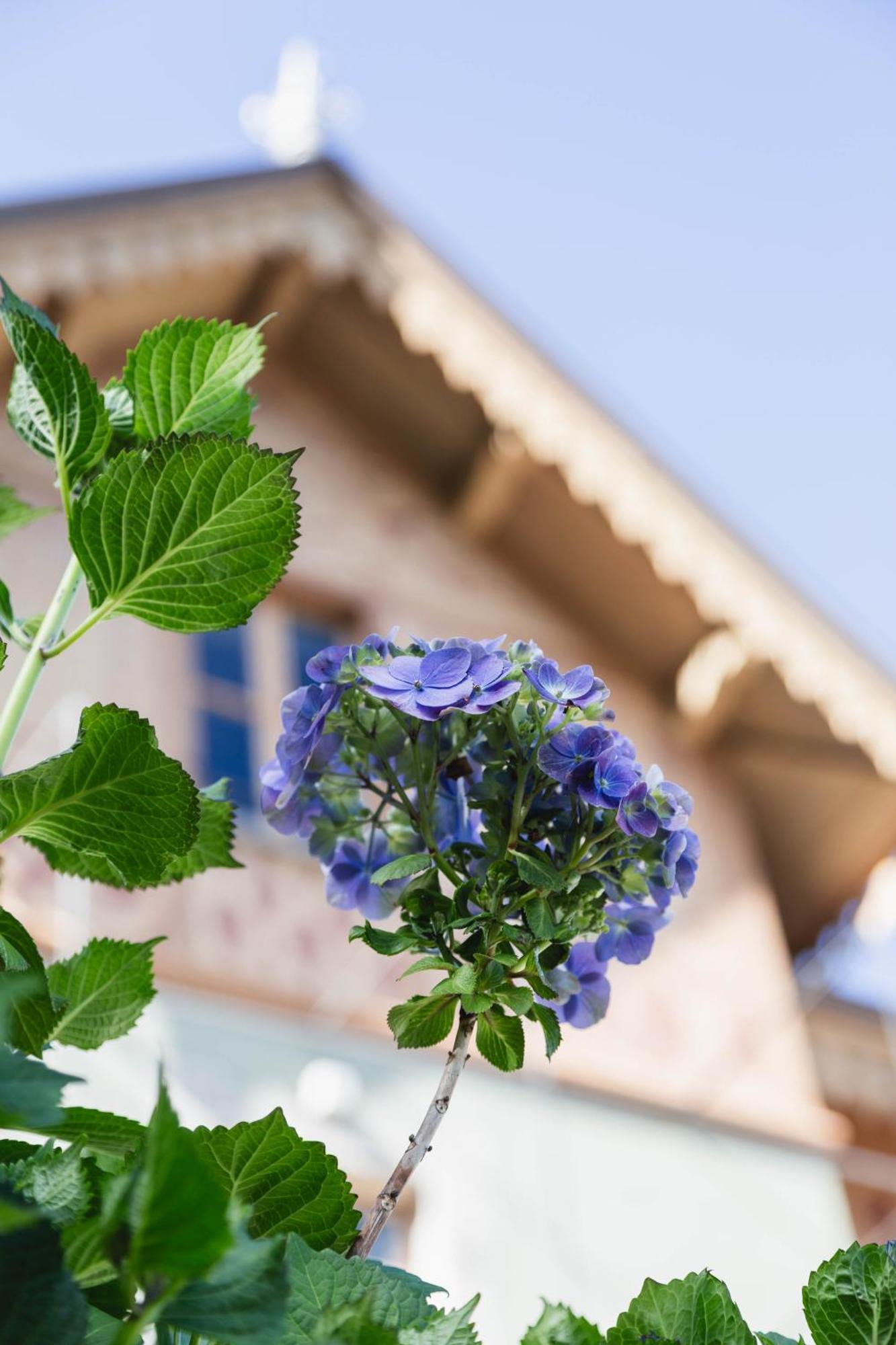 Bed and Breakfast Ca Meison Cannobio Zewnętrze zdjęcie